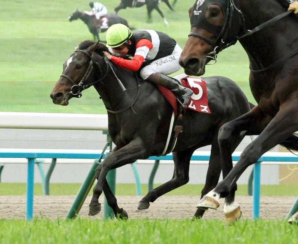 　京都新聞杯２着のエムズ＝１１日