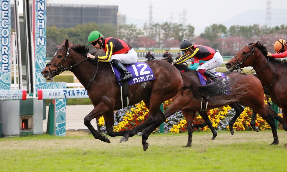 グランマエストロの母グランアレグリア＝21年マイルＣＳ優勝時