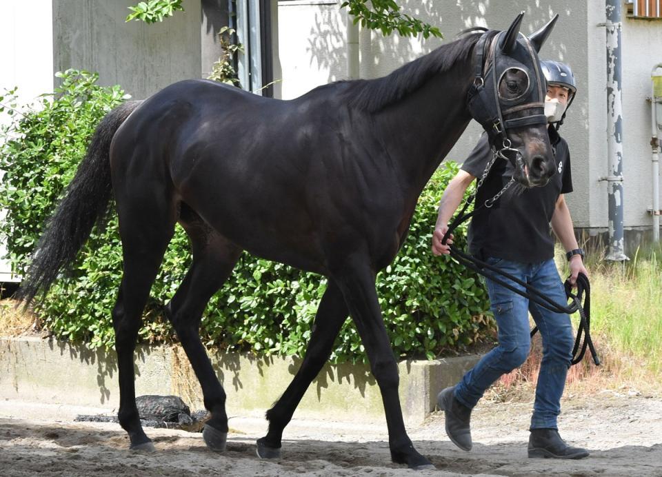 　クリスマスパレード