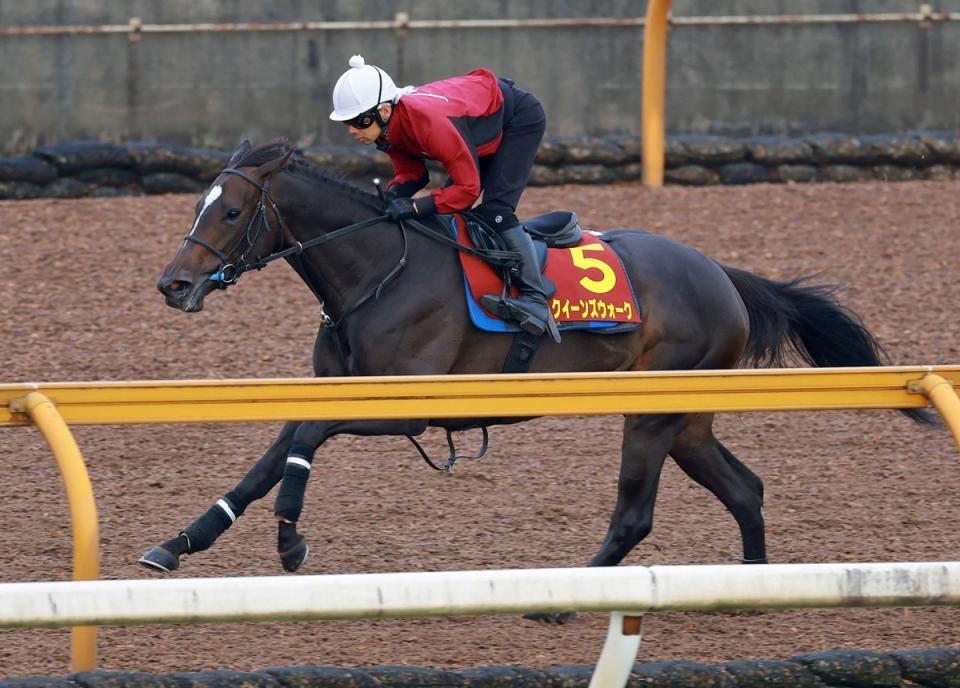 　クイーンズウォーク