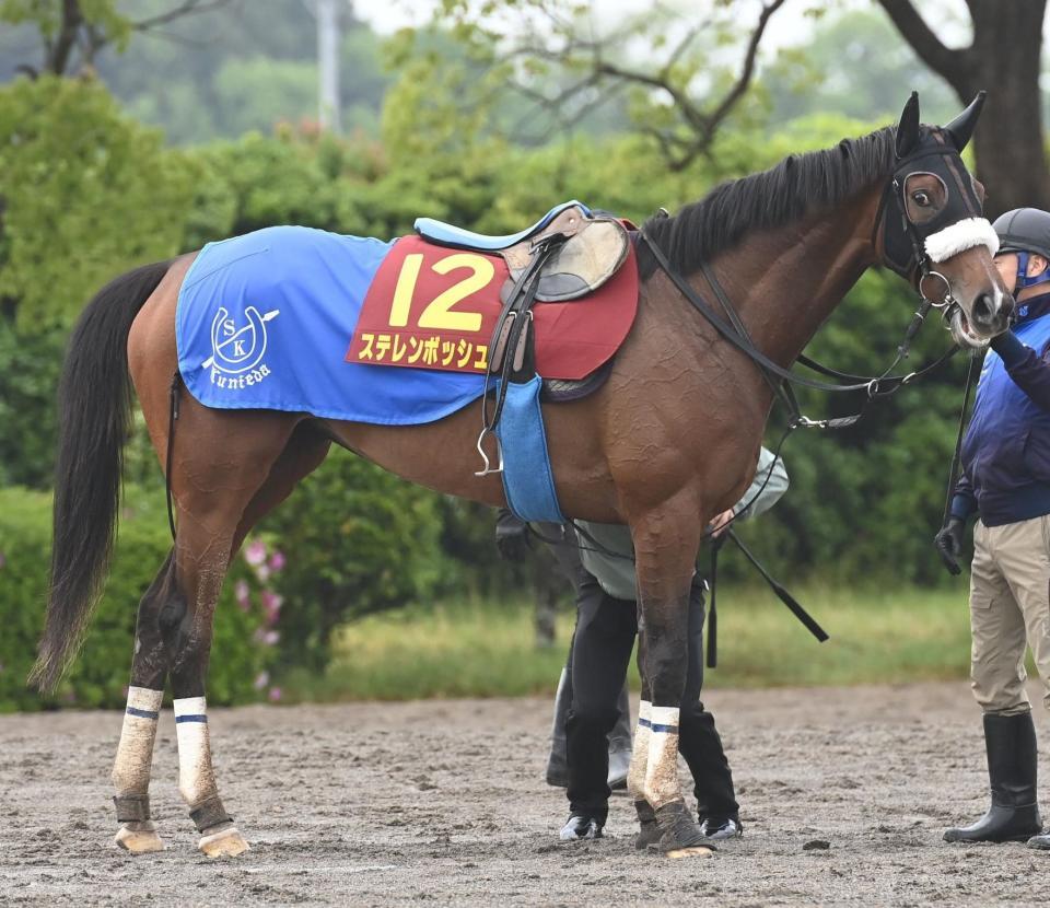 　ステレンボッシュ