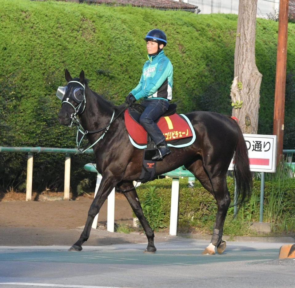 　アスコリピチェーノ