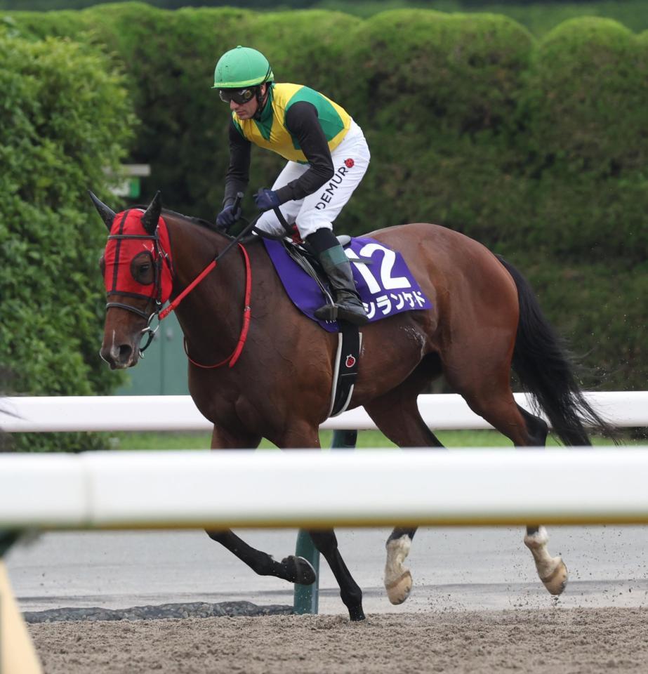 　３着に敗れたシランケド