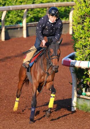 　ＳＳの底力を受け継ぐサタデーサンライズ