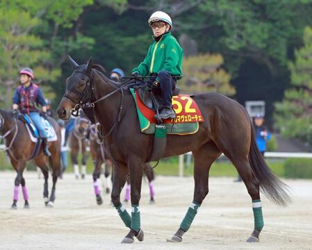 　桜の雪辱に燃えるアルマヴェローチェ
