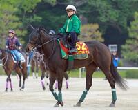 　桜の雪辱に燃えるアルマヴェローチェ