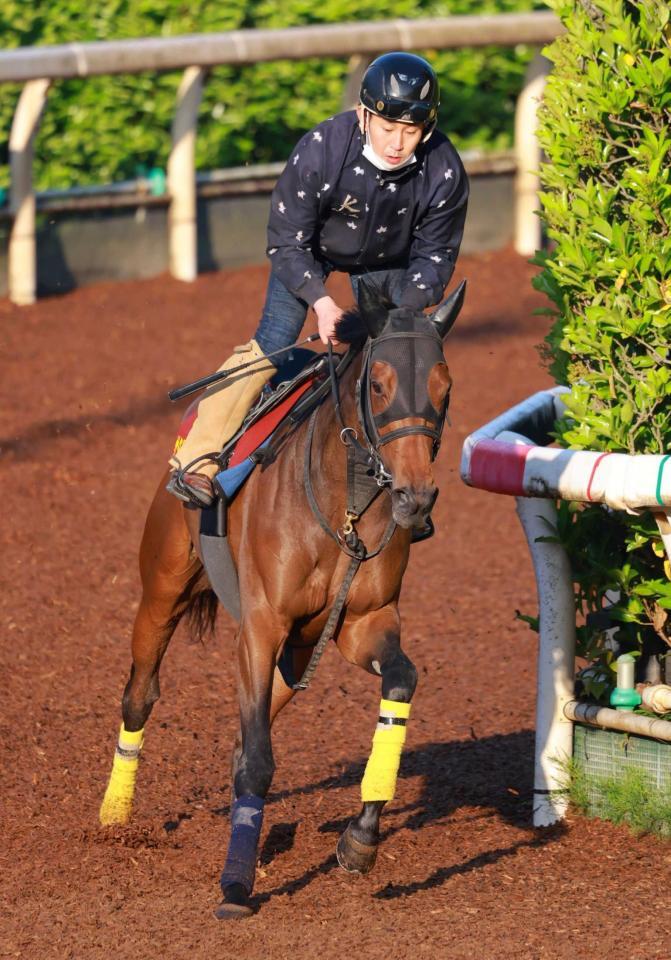 　ＳＳの底力を受け継ぐサタデーサンライズ