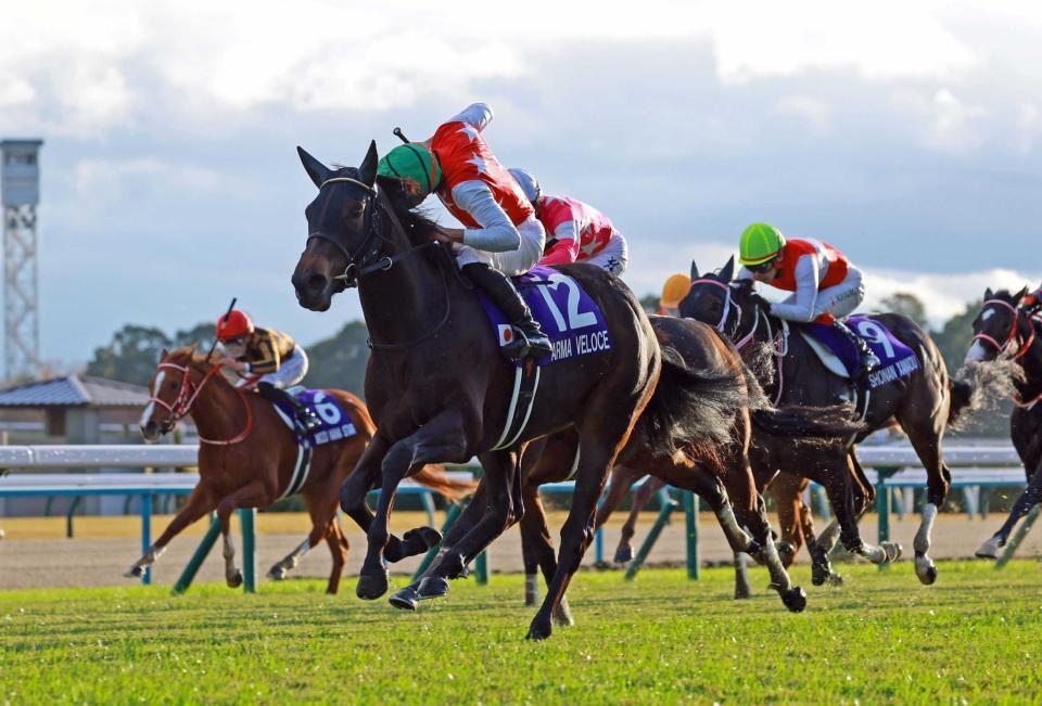 　アルマヴェローチェ