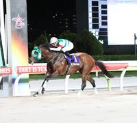 　デイリー盃大井記念を制したライトウォーリアとライアン・クワトロ（左）＝大井競馬場