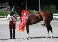 　デイリー盃大井記念を制したライトウォーリア