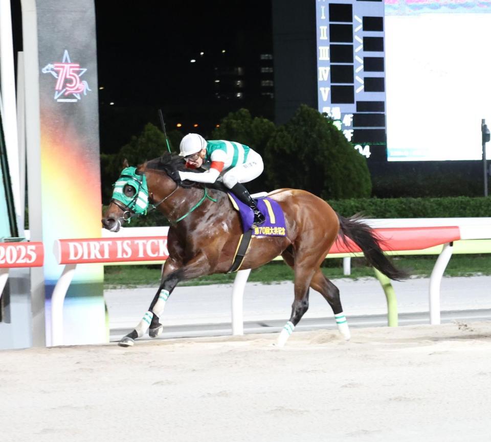 　デイリー盃大井記念を制したライトウォーリアとライアン・クワトロ（左）＝大井競馬場