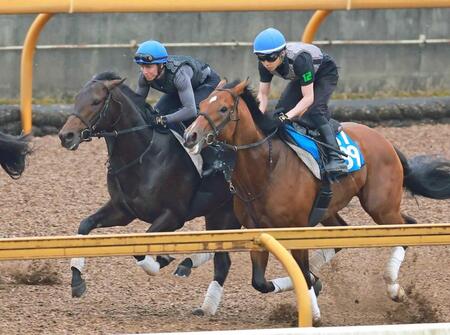 【日本ダービー】ミュージアムマイル　２冠へ好ムード　ラスト１Ｆ１１秒０　初コンタクトのレーンも納得