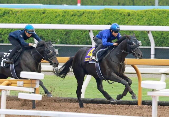 日本ダービー】クロワデュノール 王座奪還へ 北村友を背に抜群の動き