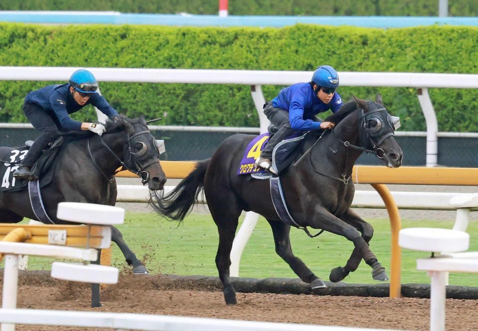 　北村友を背に抜群の動きを披露したクロワデュノール（右）