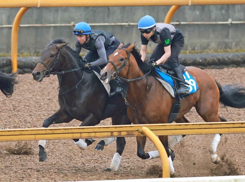 ミュージアムマイル 日本ダービー セット ミュージアムマイル 日本ダービー セット - メルカリ