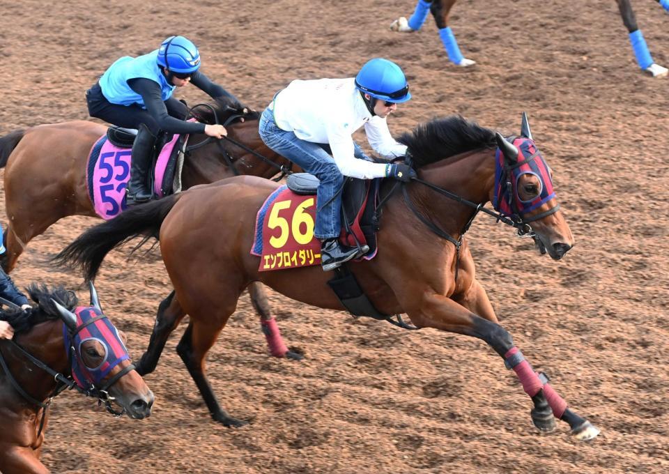 　２冠獲りへ文句なしの態勢を整えたエンブロイダリー（撮影・園田高夫）