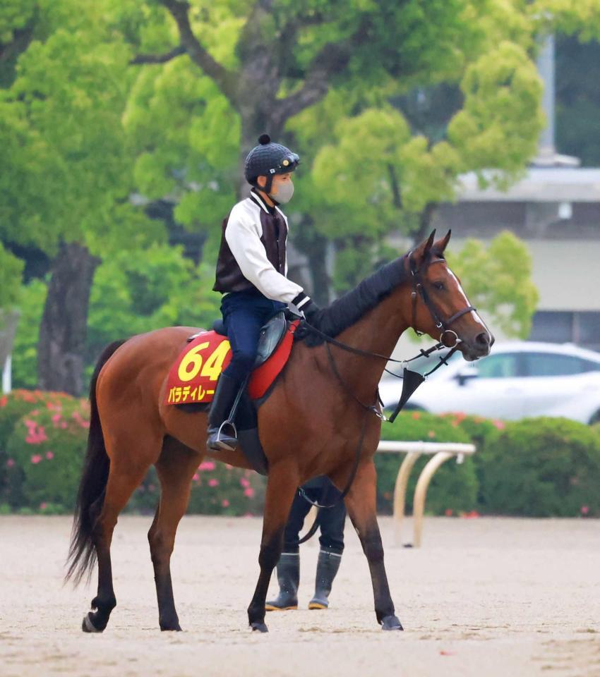 　追加登録でのオークスＶに挑むパラディレーヌ（撮影・石湯恒介）