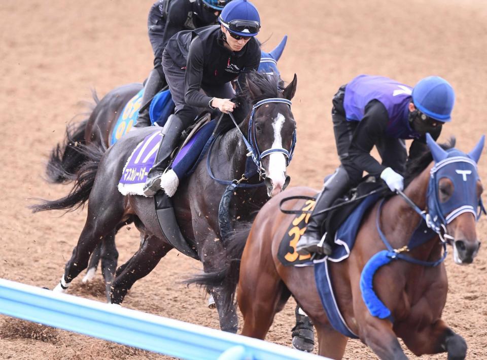 　坂井を背に好ムードを漂わせたマスカレードボール（左）＝撮影・園田高夫