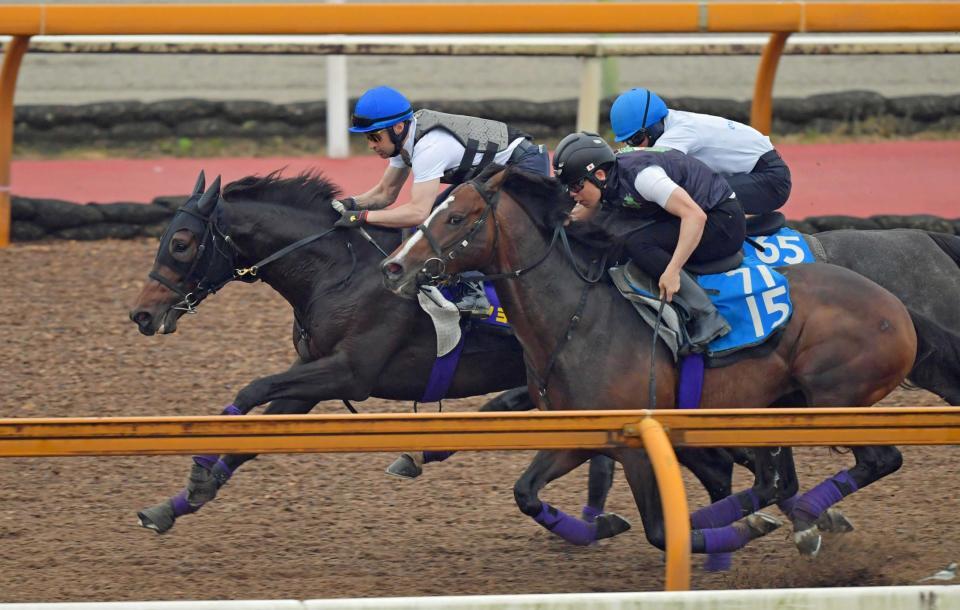 　ルメールを背に栗東ＣＷで追い切るショウヘイ（左）