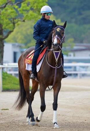 　リンクスティップ