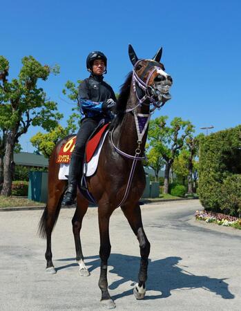 【オークス】リンクスティップ　仕上がりに納得　馬体増加４７８キロ　陣営は雨予報にも自信