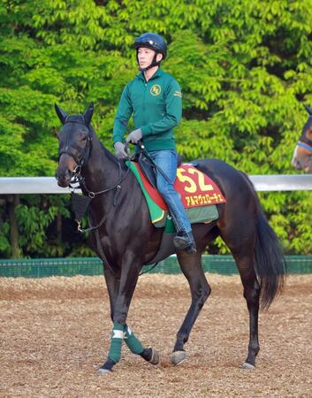 　アルマヴェローチェ