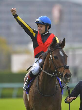 グランマエストロの母グランアレグリア