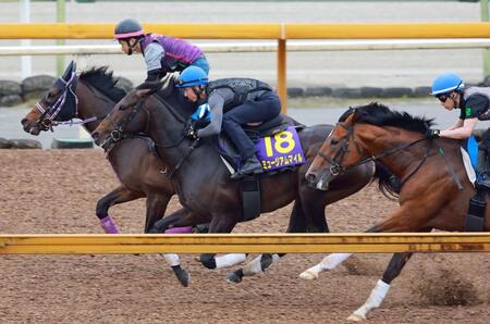 【ＰＯＧ】ダービーも楽しみな高柳大厩舎の２歳馬をご紹介（栗東発）