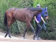 【オークス】展開から浮上するのはこの馬だ