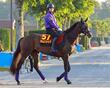 【オークス】馬場状態から浮上するのはこの馬だ