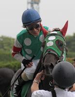 　１０年七夕賞を制したドモナラズ