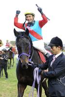 　１２年日経賞を制したネコパンチ