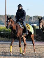 　モグモグパクパク＝１３年１１月