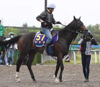 　シャチ＝２０年５月