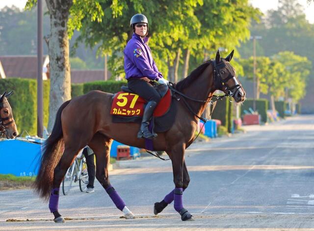 オークス】カムニャック 前走V導いたシュタルケに託す 厩舎5年連続