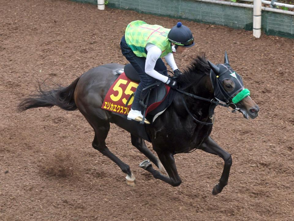 　桜花賞１番人気５着からの反撃を期すエリカエクスプレス