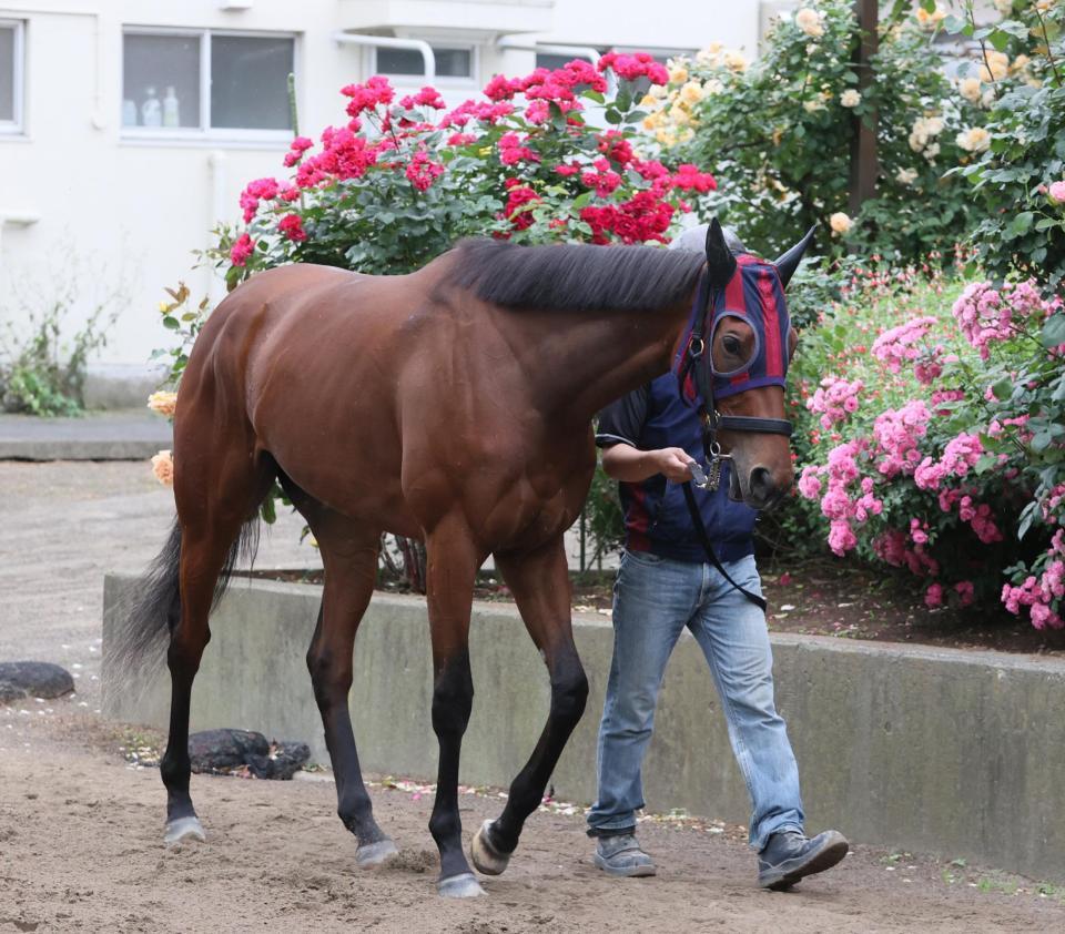 【オークス】エンブロイダリー　２冠へ態勢万全　森一師「イレ込むこともなく、活気ある動き」/うま屋/デイリースポーツ online