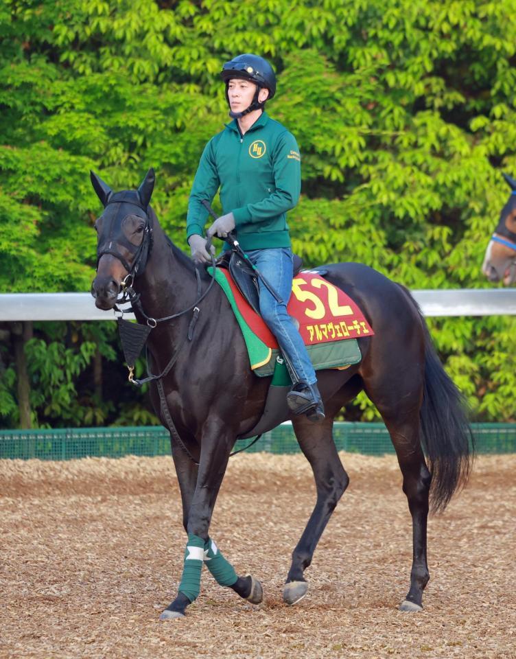 　アルマヴェローチェ