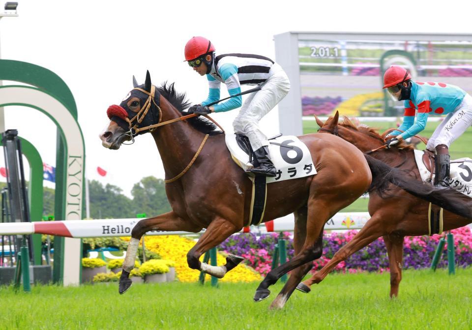 珍名馬サラダが武豊で初勝利「すごく乗りやすい」 ケーエスHD
