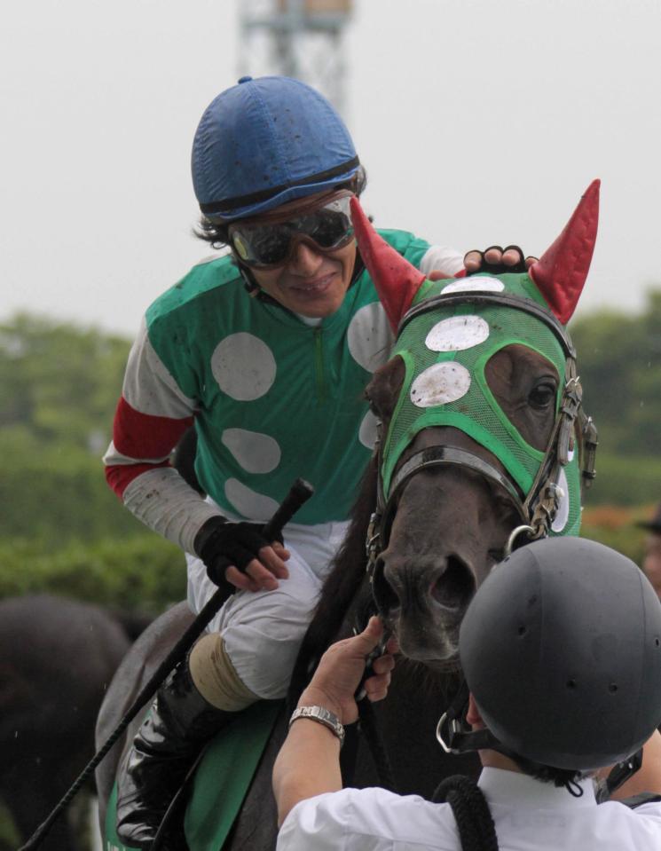 　１０年七夕賞を制したドモナラズ