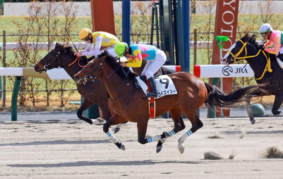 　４歳上１勝クラスを制したゴイゴイスー＝２月