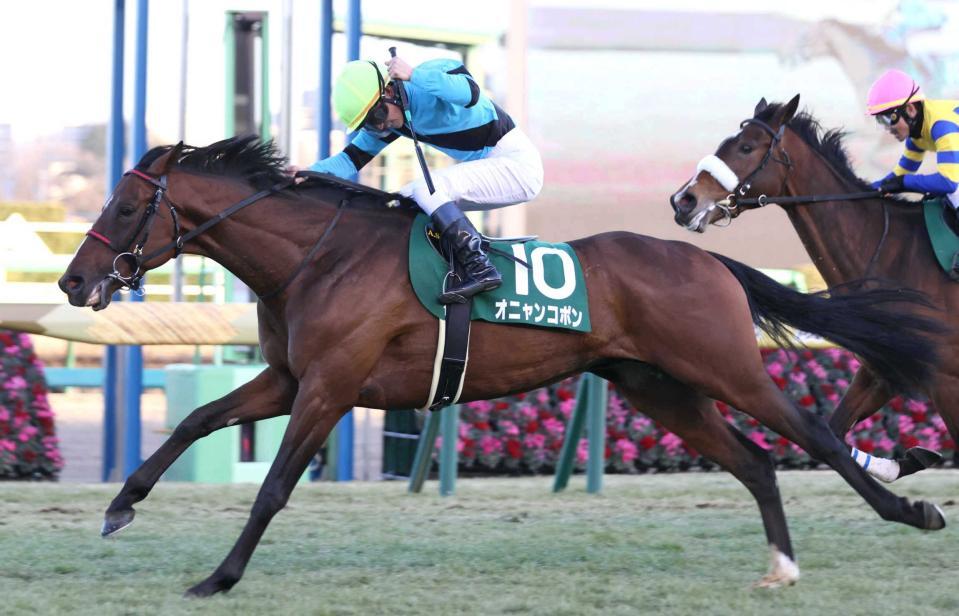 　２２年京成杯を制したオニャンコポン