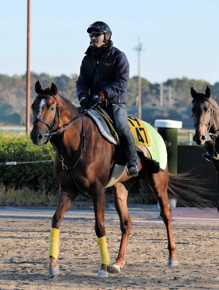 　モグモグパクパク＝１３年１１月