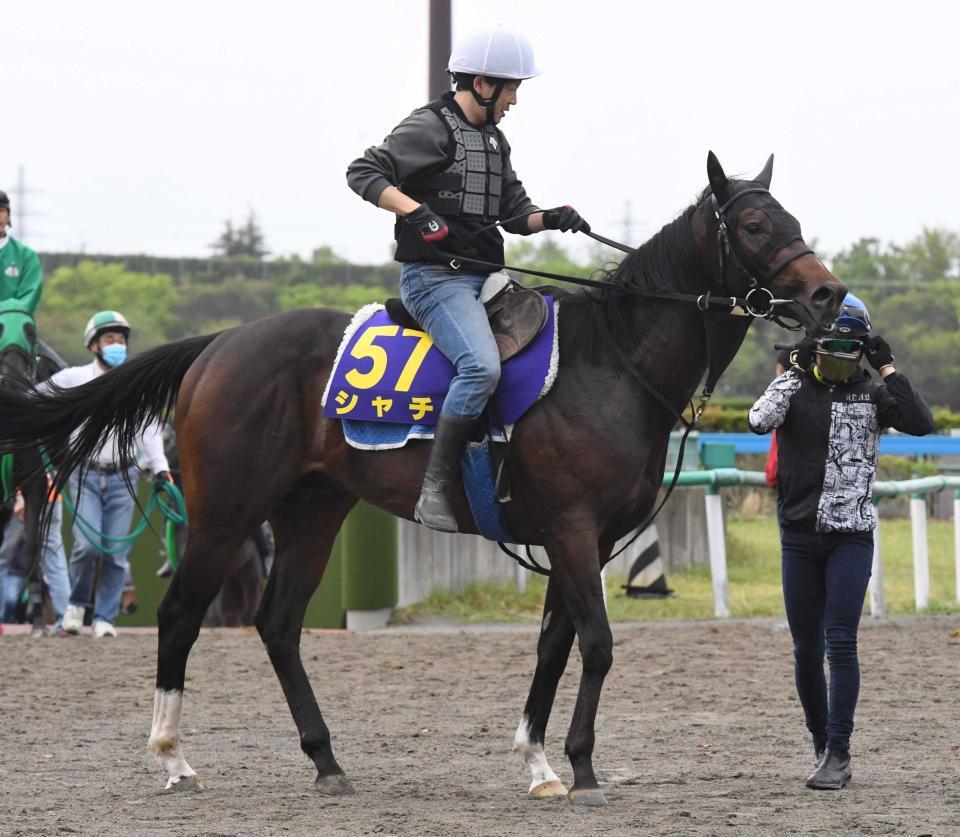 　シャチ＝２０年５月