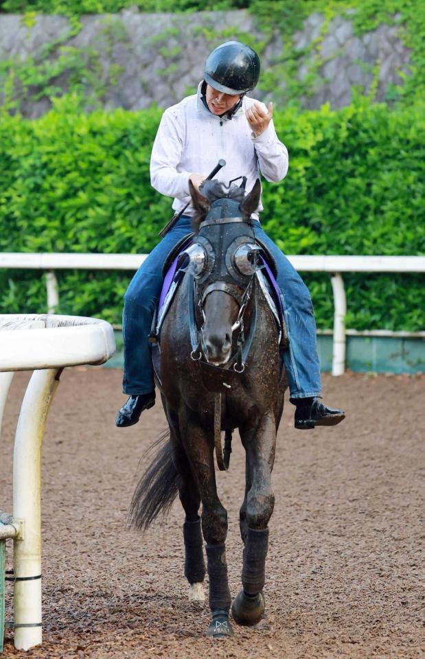 　Ｖデータを全てクリアしたクロワデュノール