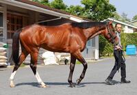 　一撃の可能性を秘めるトッピボーン