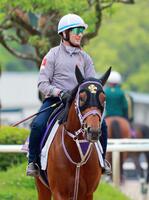 ミルコ・デムーロとファウストラーゼン＝栗東トレセン（撮影・石湯恒介）