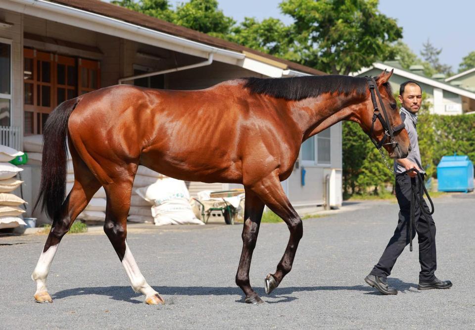 　一撃の可能性を秘めるトッピボーン