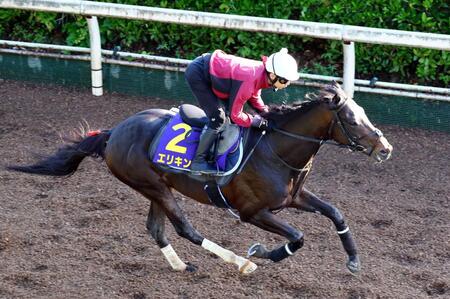 　栗東坂路追い切るエリキング（撮影・山口登）