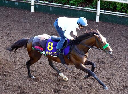【日本ダービー】ジョバンニ　漂う好ムード　杉山晴師「仕上がりに手間取るタイプではない」